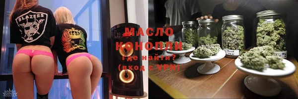 хмурый Арсеньев