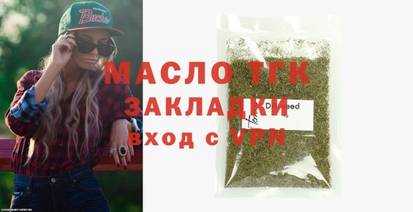 хмурый Арсеньев