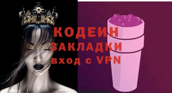 хмурый Арсеньев