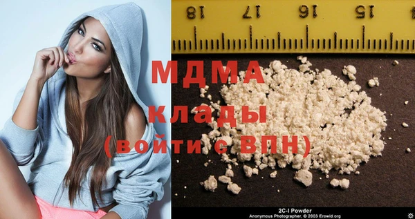 хмурый Арсеньев
