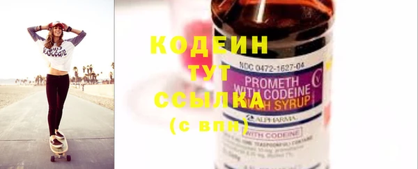хмурый Арсеньев