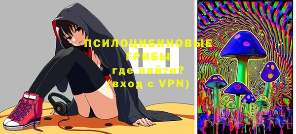 дмт Аркадак