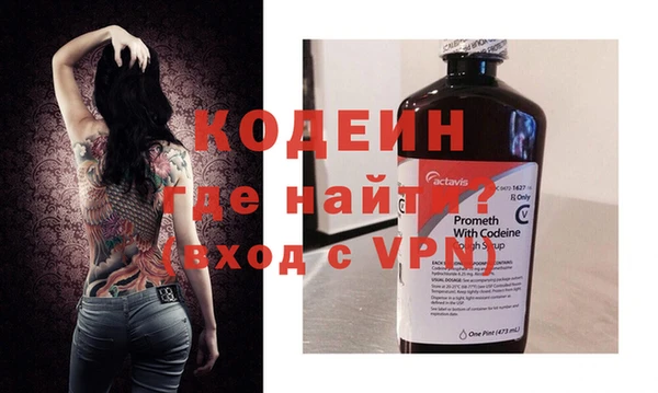 хмурый Арсеньев