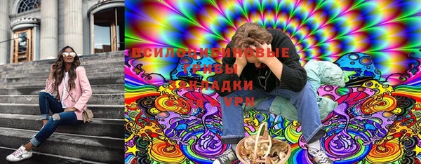ГАЛЛЮЦИНОГЕННЫЕ ГРИБЫ Армянск